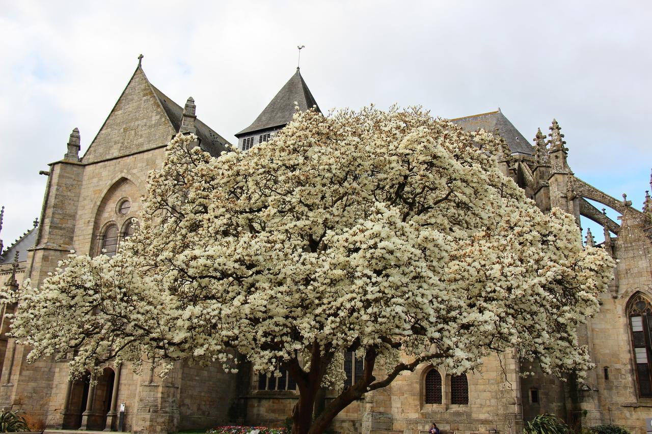 La Tocade Del Arte - Dinan Bed & Breakfast Lanvallay ภายนอก รูปภาพ